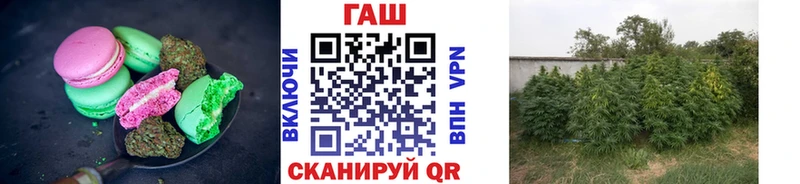 Canna-Cookies конопля  Городец 