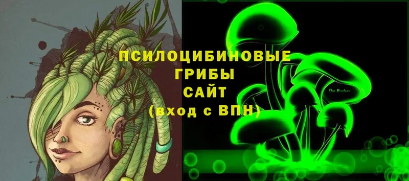 Псилоцибиновые грибы GOLDEN TEACHER  Городец 