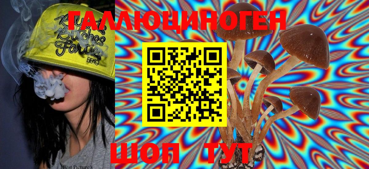 Псилоцибиновые грибы прущие грибы Городец