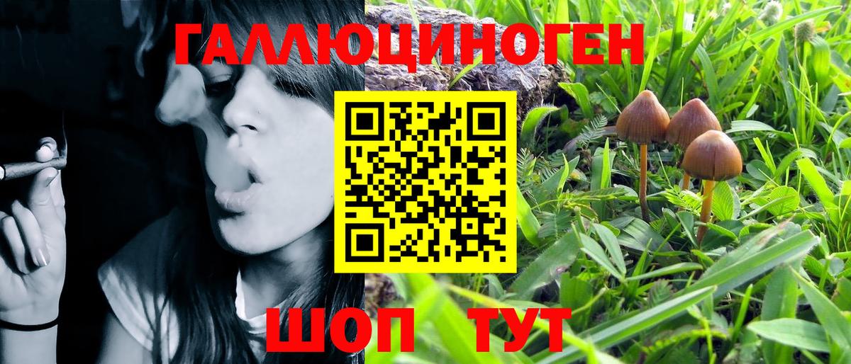 Псилоцибиновые грибы MAGIC MUSHROOMS  Вход с VPN  Городец 