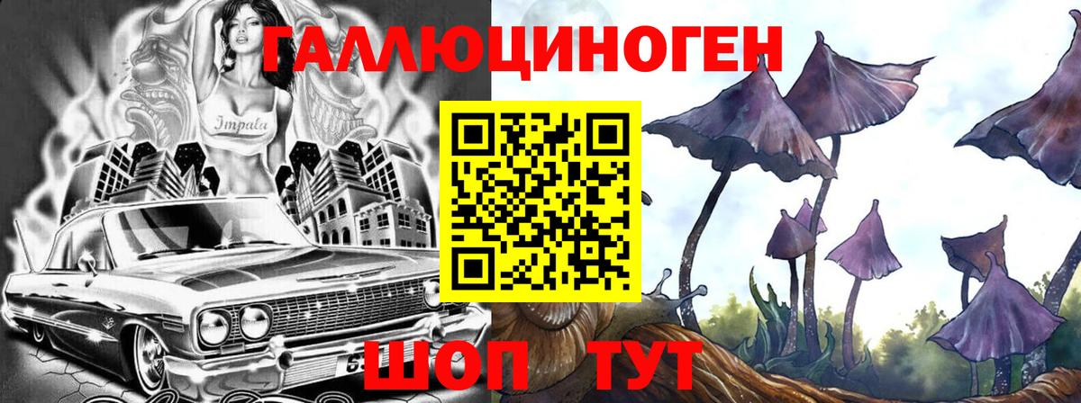 Псилоцибиновые грибы Cubensis  Галлюциногенные грибы MAGIC MUSHROOMS  даркнет сайт  Городец 
